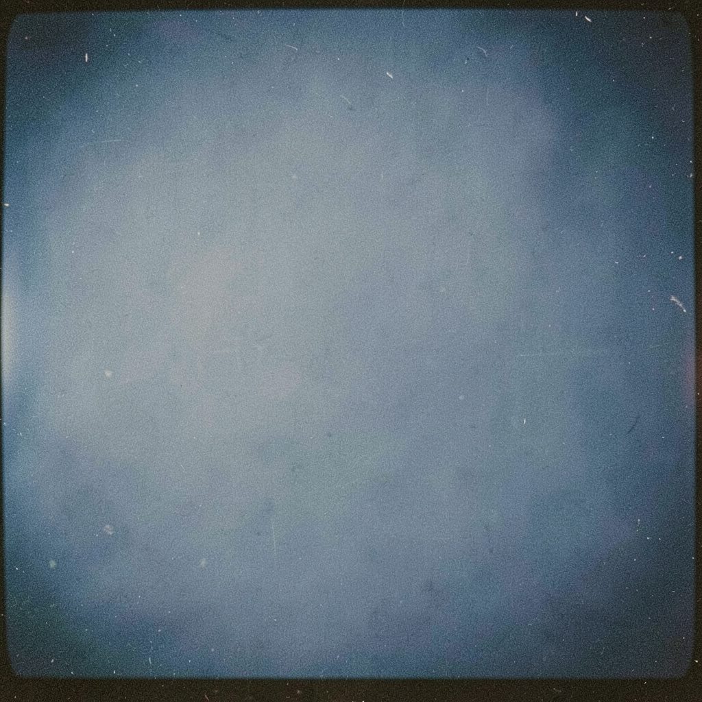 Analog film photograph of a shallow bin filled with hydrated basil seeds, pale blue-grey.
