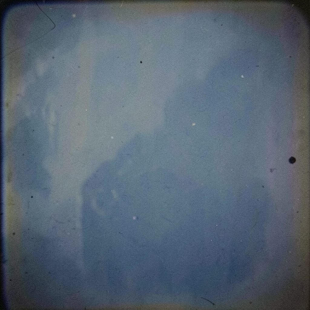 Analog film image of olive oil being poured into a small bowl, gentle grain.