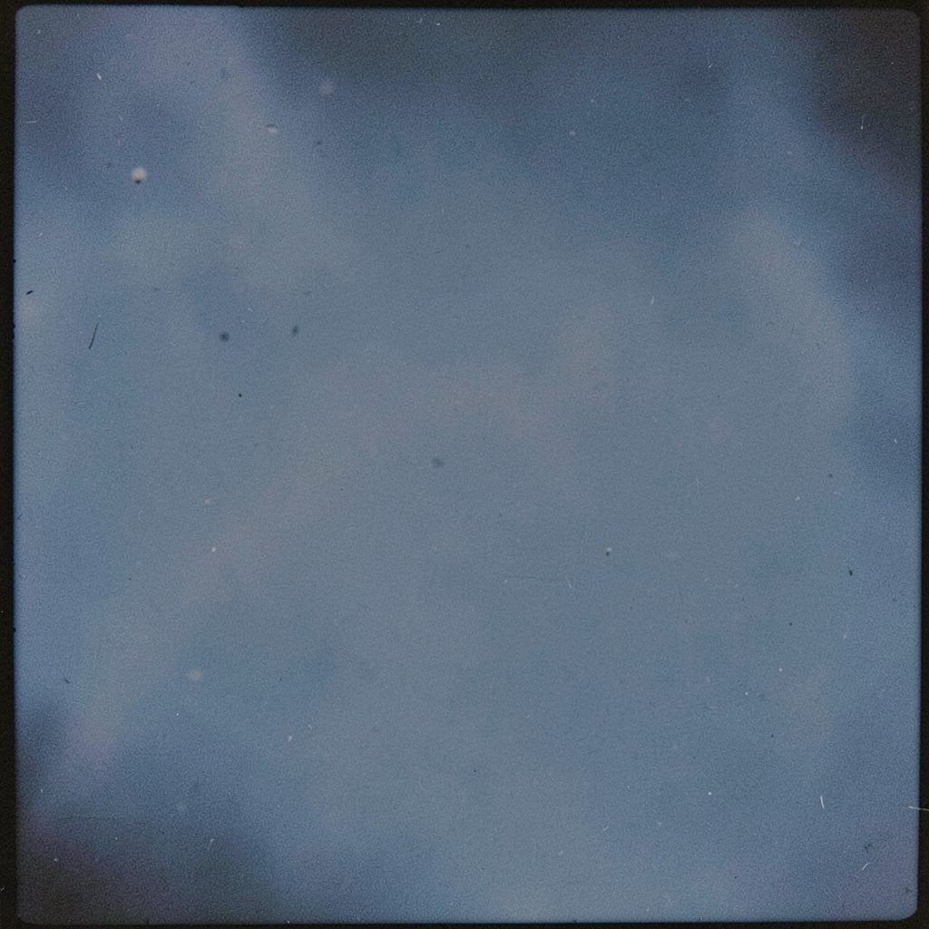 Analog film image of halved apples and a shallow dish of finger paint, navy and steel-blue tones.